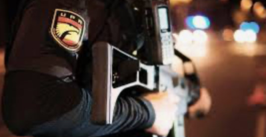 UPR: Unidades de Prevención y Reacción — la primera línea de seguridad ciudadana