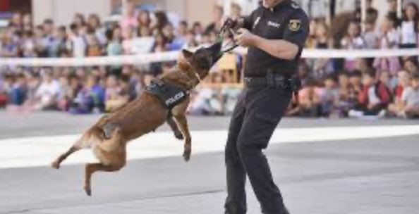 Unidad de Guías Caninos: el instinto que protege a España