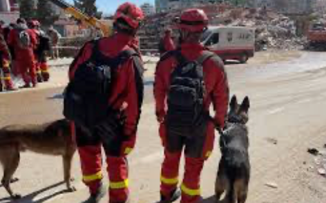 Unidad Canina (K9): el olfato que salva vidas entre los escombros